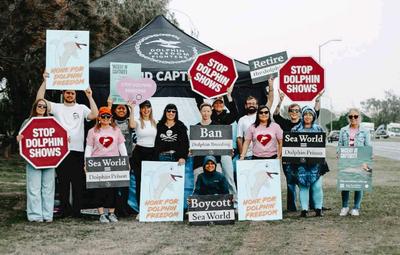 Ban Dolphin Breeding