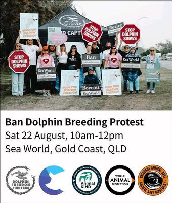 Ban Dolphin Breeding Protest
