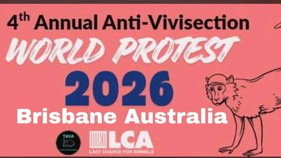 4th Annual World Anti-Vivisection Protest- Brisbane