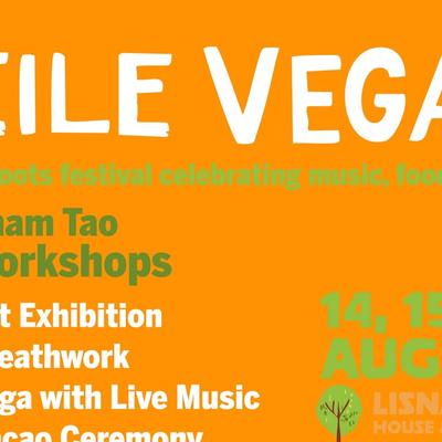 Féile Vegan 2026
