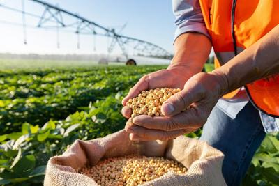 EU Consultation Names Protein Diversification Among Top R&I Priorities for Food 2040