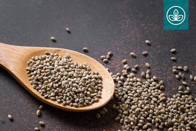 Botaneco Pushes Oilseed Oleosome Technology Deeper Into Plant-Based Fat Applications
