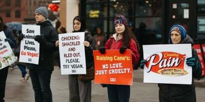 Behind Raising Cane’s Chicken: Drownings, Scaldings, and Neglect