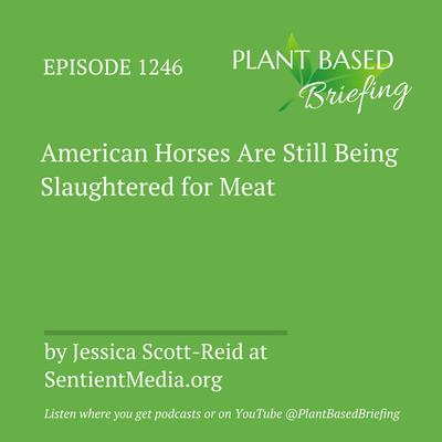 1246: American Horses Are Still Being Slaughtered for Meat by Jessica Scott-Reid at SentientMedia.org