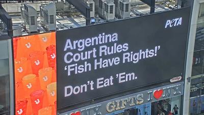 PETA Takes Argentine Goldfish Ruling to a Times Square Billboard
