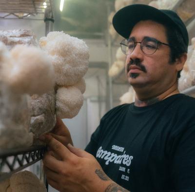 The Functional Mushroom Label Problem, and Three Questions That Settle It