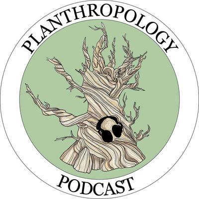 Deep Roots Podcast- The Future of Ag Education w/ Lance Nicholas