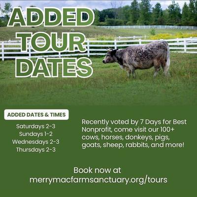 The Merrymac Farm Sanctuary Tours