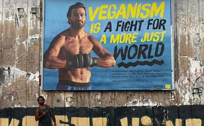 ‘Veganism Is A Fight For A More Just World,’ Says Vegan MMA Fighter