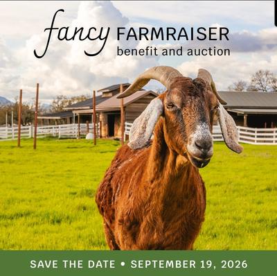 Fancy Farmraiser Benefit & Auction
