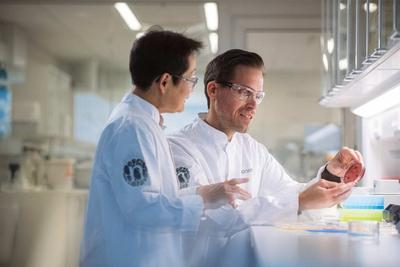 Novonesis Moves to Take Full Ownership of Australian Yeast Specialist MicroBioGen
