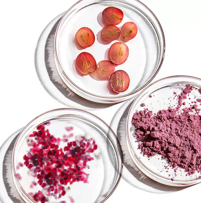 BioHarvest Signs $20M–$30M Deal to Grow One of the World’s Costliest Perfume Ingredients in Bioreactors