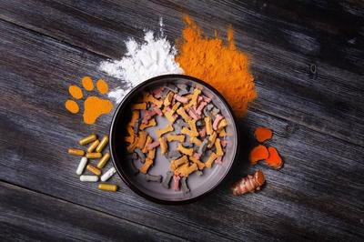 WACKER Gains EU Clearance for Fermentation-Derived Amino Acids in Pet Food