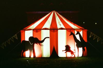 Hungary Closes the Last EU Loophole for Wild Animals in the Circus Ring