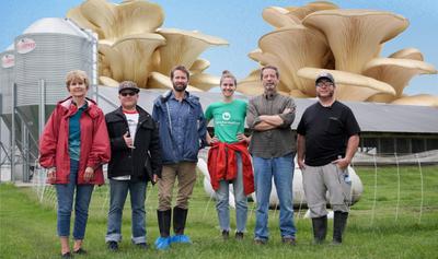 These Iowa Farmers Raised 8,000 Pigs a Year. Switching to Mushrooms Saved Their Future.