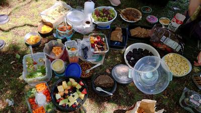 Vegan Potluck Picnic
