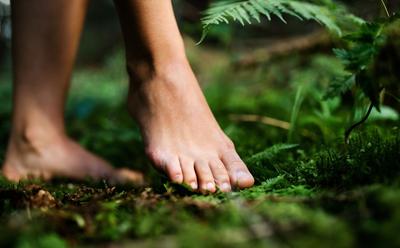 World’s Fourth ‘Therapeutic Forest’ Certified In Portugal