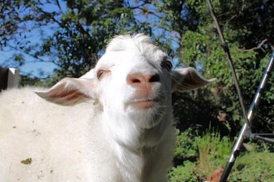 Sanctuary Open Day Tours