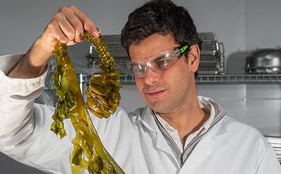 Notpla Secures £20 Million In Funding For Plastic-Free Seaweed Packaging