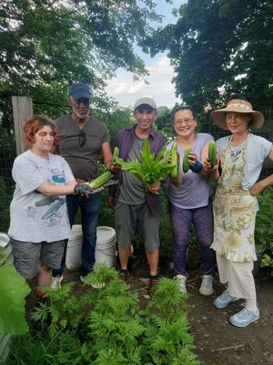 Vegan-organic gardening
