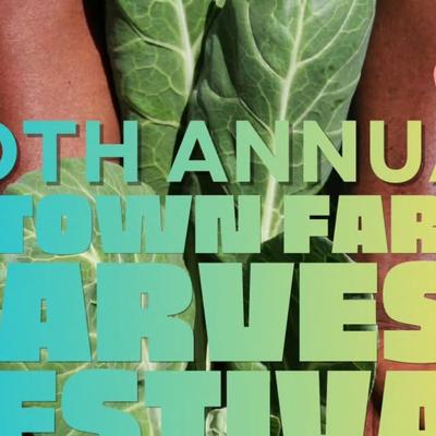 D-Town's 20th Annual Harvest Festival