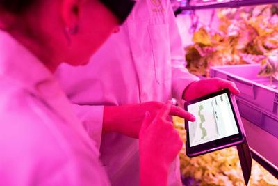 Proxy Foods AI Banks $6M to Bring Predictive Formulation to More Food Companies