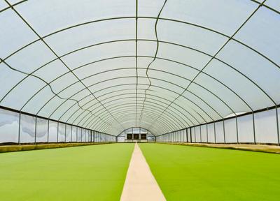 Plantible Secures $35M in USDA-backed Debt and Equity to Quintuple Rubi Protein Output in Texas