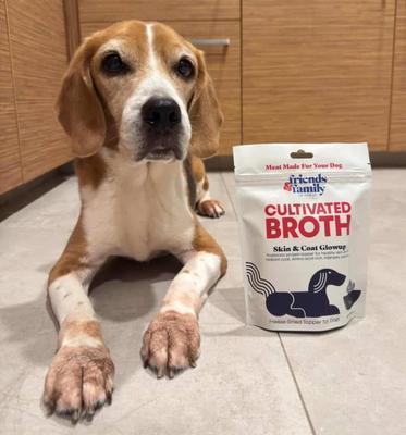 Friends & Family Adds Cultivated Quail Broth Toppers to Its Singapore Pet Food Line