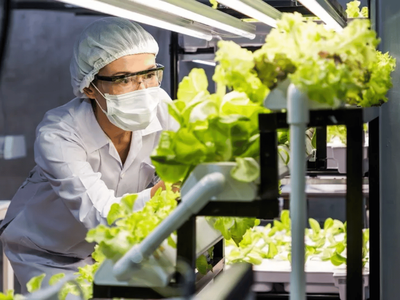 Scientists Grow Animal Protein in Tobacco & Lettuce to Enhance Plant-Based Meat