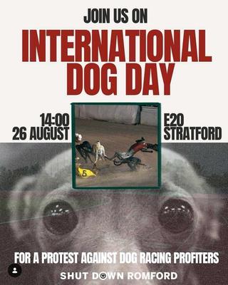 INTERNATIONAL DOG DAY