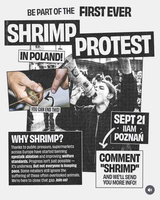 FIRST EVER SHRIMP PROTEST IN POLAND
