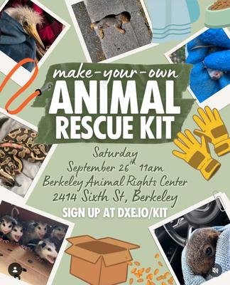 make-your-own ANIMAL RESCUE KIT