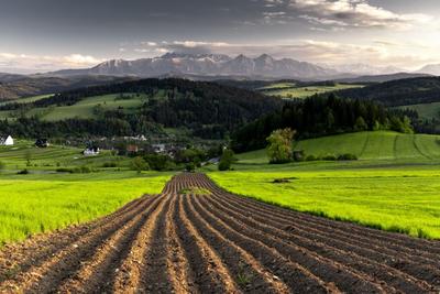 MEPs With Agri-Food Financial Stakes Vote Against Environmental Rules, Study Finds