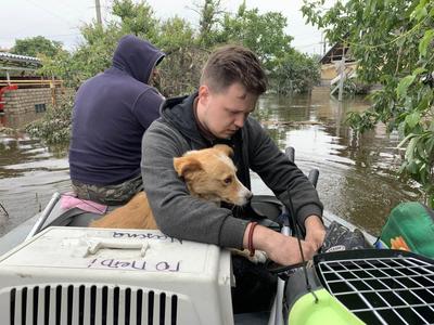 PETA Responds to Nepal/Tibet Flood Crisis