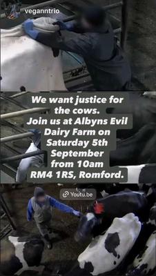 We want justice for the cows