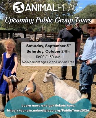 Upcoming Public Group Tours