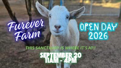 FUREVER FARM OPEN DAY 2026