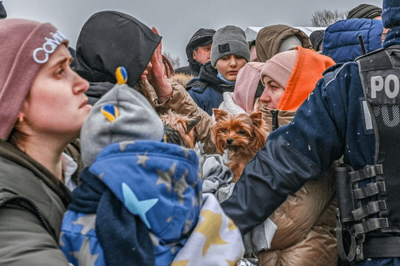 Animals need a place in Europe's civil defence plans