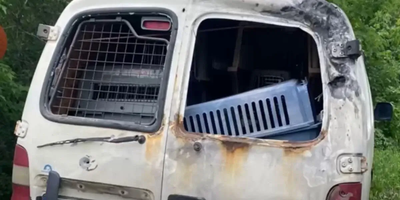 Drone Attack in Ukraine Injures Volunteers from PETA Partner ARK During Dangerous Animal Rescue