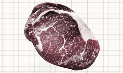Did Big Meat Hijack America’s Diet Guidelines? Why These Doctors Are Suing the Government.