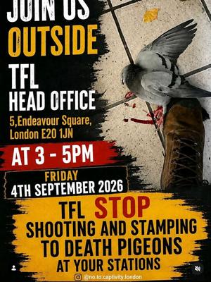 TFL STOP SHOOTING PIGEONS AT YOUR STATIONS