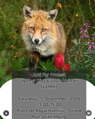 Anti Fur Protest against Dior & Louis Vuitton (LVMH)