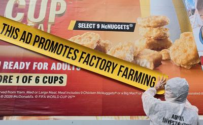 Adfree Cities Calls For A Ban On Factory Farming Advertisements