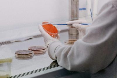 EU-Backed ProFuse Project Delivers Non-GMO Cattle Cell Line for Cultivated Meat