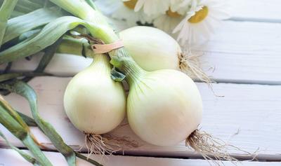 These 5 Vegetables Are the Best Sources of Prebiotics, Study Finds