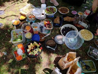Vegan Potluck Picnic - Washington park!