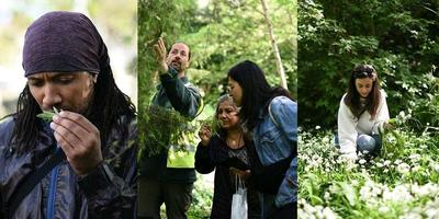 Foraging: Wild Food Walk, London E3