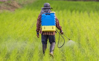 Pesticides Poison Nearly Half Of Farmers Every Year, Finds Study
