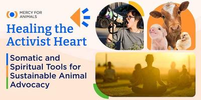 Healing the Activist Heart: Connection with the Animal Kingdom