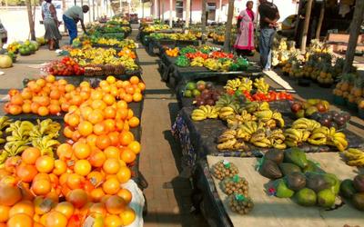 Food Could Take Half of the Poorest Households’ Income by 2050, MIT-Led Modeling Finds